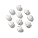 Natürliche Howlith Perlen G-L583-A02-1
