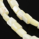 Säule natürliche weiße Schale Perlen Stränge BSHE-Q025-01-1