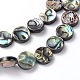 Flat Round Abalone/Paua Shell Beads Strands SSHEL-N007-04-1