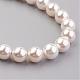 Перлы раковины бисера ожерелья NJEW-JN01913-01-2