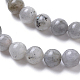 Natural Labradorite Beads Strands G-I261-D02-6mm-3