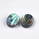 Abalone shell / paua shell beads X-SSHEL-T008-04-2