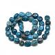 Natural Apatite Beads Strands G-R445-8x10-24-2