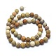 Natural Fossil Coral Beads Strands G-I254-01A-2