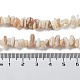Chapelets de perles de coquillage naturel G-F328-45-4