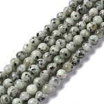 Chapelets de perles en jaspe sésame naturel / jaspe kiwi, ronde, vert de mer foncé, 6mm, Trou: 1mm, Environ 64~66 pcs/chapelet, 15.08~15.35 pouce (38.3~39 cm)