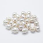 Natural Cultured Freshwater Pearl Beads, Half Drilled, Teardrop, Floral White, 8~9x11~13mm, Hole: 0.8mm