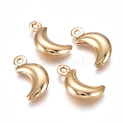 Подвески из нержавеющей стали 304 STAS-I138-05G