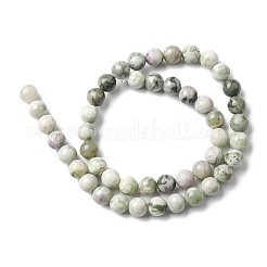 Natürliche Frieden Jade Perlen Stränge&nbsp;X-G-E598-04B