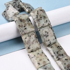 Jaspe de sésame naturel / perles de jaspe kiwi&nbsp;G-P469-04