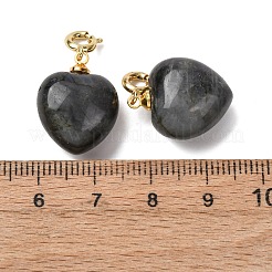 Pendentifs en forme de cœur en larvikite naturelle&nbsp;G-B188-06G-10