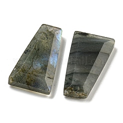 Natur Labradorit Anhänger&nbsp;G-G123-02D