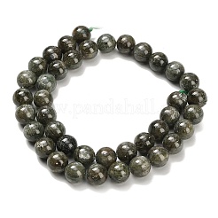Natürliche grüne Zyanitperlenstränge&nbsp;G-H335-B05-10mm