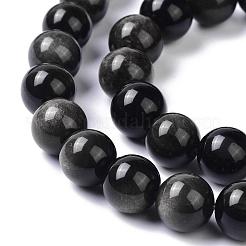 Natürliche silberne Obsidianperlenstränge&nbsp;G-D083-01C