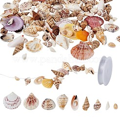 Gemischte Muschelperlen&nbsp;BSHE-TA0002-05