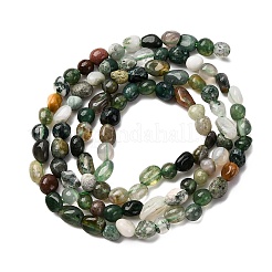 Natur Indien Achat Perlen Stränge&nbsp;G-I389-A06