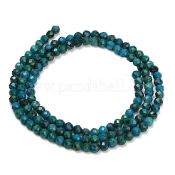 Perline Chrysocolla naturale fili&nbsp;GG-CBA77FB-B12-3mm