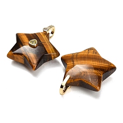 Pendentifs en œil de tigre naturel&nbsp;G-Z157-01G-A03