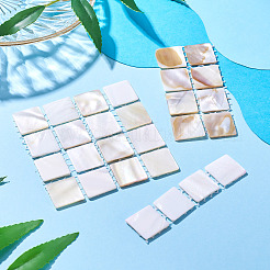 3 Stück 3 Stile natürliche Muschel Nail Art Display Board&nbsp;ODIS-TA0001-04