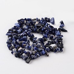 Chip-Perlenstränge aus natürlichen blauen Fleckensteinen&nbsp;G-M344-18