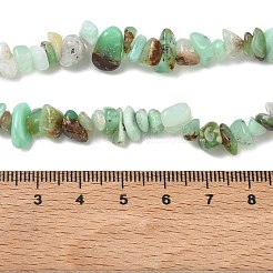 Natürliche Chrysopras-Perlenstränge&nbsp;G-G0004-D01-A-01