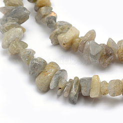 Perline labradorite naturale fili&nbsp;X-G-P332-23