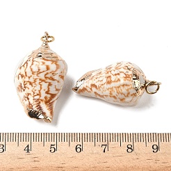 Pendentifs coquille spirale électrolytique&nbsp;BSHE-L036-43