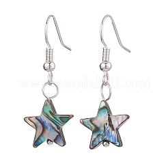 Natürliche Abalone Muschel/Paua Muschel Ohrhänger&nbsp;EJEW-JE05915