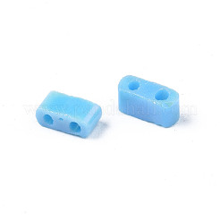 Perline di vetro opaco a 2 foro&nbsp;LS-SEED-N004-002-B01