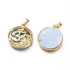 Natürliche Abalone Muschel / Paua Muschel Anhänger&nbsp;BSHE-I014-05G