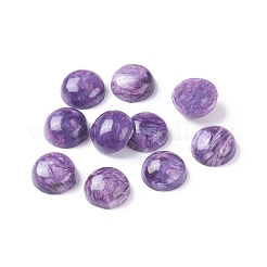 Natürliche Charoite Cabochons&nbsp;X-G-E557-08B