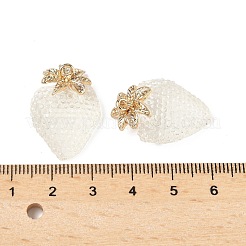 Legierung Harzanhänger&nbsp;CRES-D306-09G-A