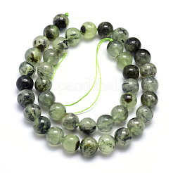 Perline Prehnite naturale fili&nbsp;G-K224-03-10mm