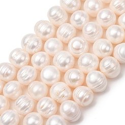 Fili di perle di perle d'acqua dolce coltivate naturali&nbsp;PA-CBABE82-12A