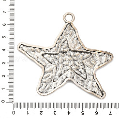Tibetischen Stil Legierung große Anhänger&nbsp;PALLOY-R150-02AS-03