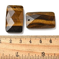 Pendentifs en œil de tigre naturel&nbsp;G-Z071-04F