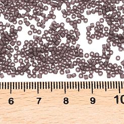 Miyuki Delica Perlen&nbsp;LS-X-SEED-J020-DB2405