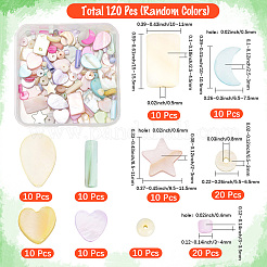 120 Stück natürliche Muschelperlen in Macaron-Farbe&nbsp;SHEL-SC0001-71