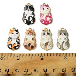 12pcs 6 pendentifs en alliage de couleurs&nbsp;FIND-FS0003-02