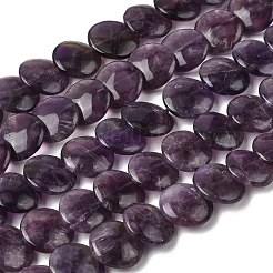 Natürlichen Amethyst Perlen Stränge&nbsp;G-K366-D06-02