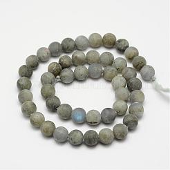 Labradorite naturelle brins de perles dépoli&nbsp;G-O155-04A-8mm