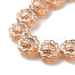 Trasparenti perle di vetro placca fili&nbsp;GLAA-G098-04D