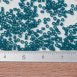 Miyuki Delica Perlen&nbsp;X-SEED-J020-DB0788
