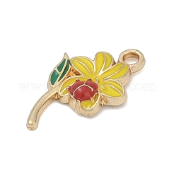 Emaille Anhänger Legierung&nbsp;PALLOY-V003-01G-06