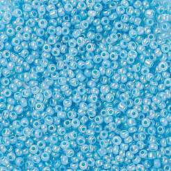 13g 8/0 Glas Saatperlen&nbsp;SEED-XCP0001-05