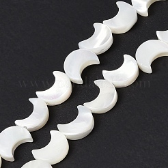 Fili di perle di conchiglia trochid naturale / trochus&nbsp;SSHEL-N032-25A