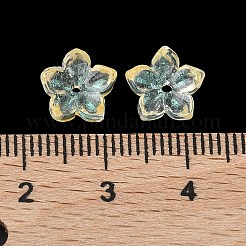 Embouts de perles de verre teints et chauffés&nbsp;GLAA-Z019-02K