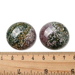 Naturali indian agata cabochon&nbsp;G-C115-02B-09