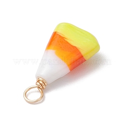 Manuelle Bunte Malerei Anhänger & Charms&nbsp;PALLOY-JF02666