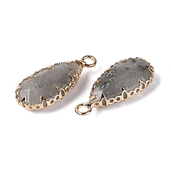 Pendentifs à facettes en labradorite naturelle&nbsp;G-Q606-104G-04